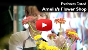 Amelia's Flower Shop Video