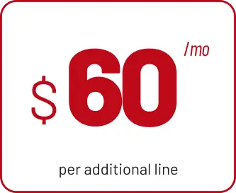 6m